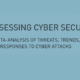 Assessing Cyber Security