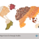 Food Systems FI