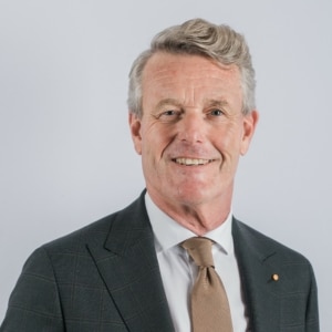 Hans van der Louw
