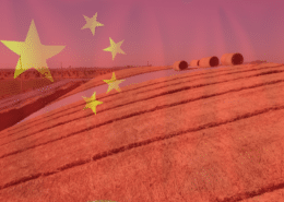 landbouw china