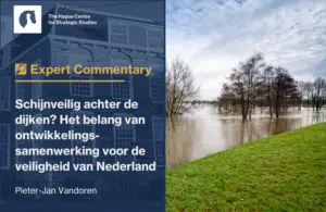 Expert Analysis - Schijnveilig achter de dijken Het belang van ontwikkelingssamenwerking voor de veiligheid van Nederland