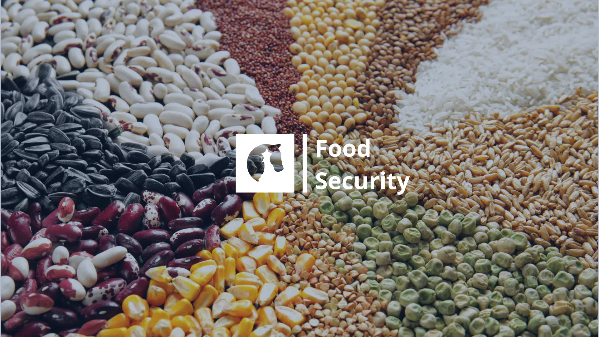 landing page Food Security