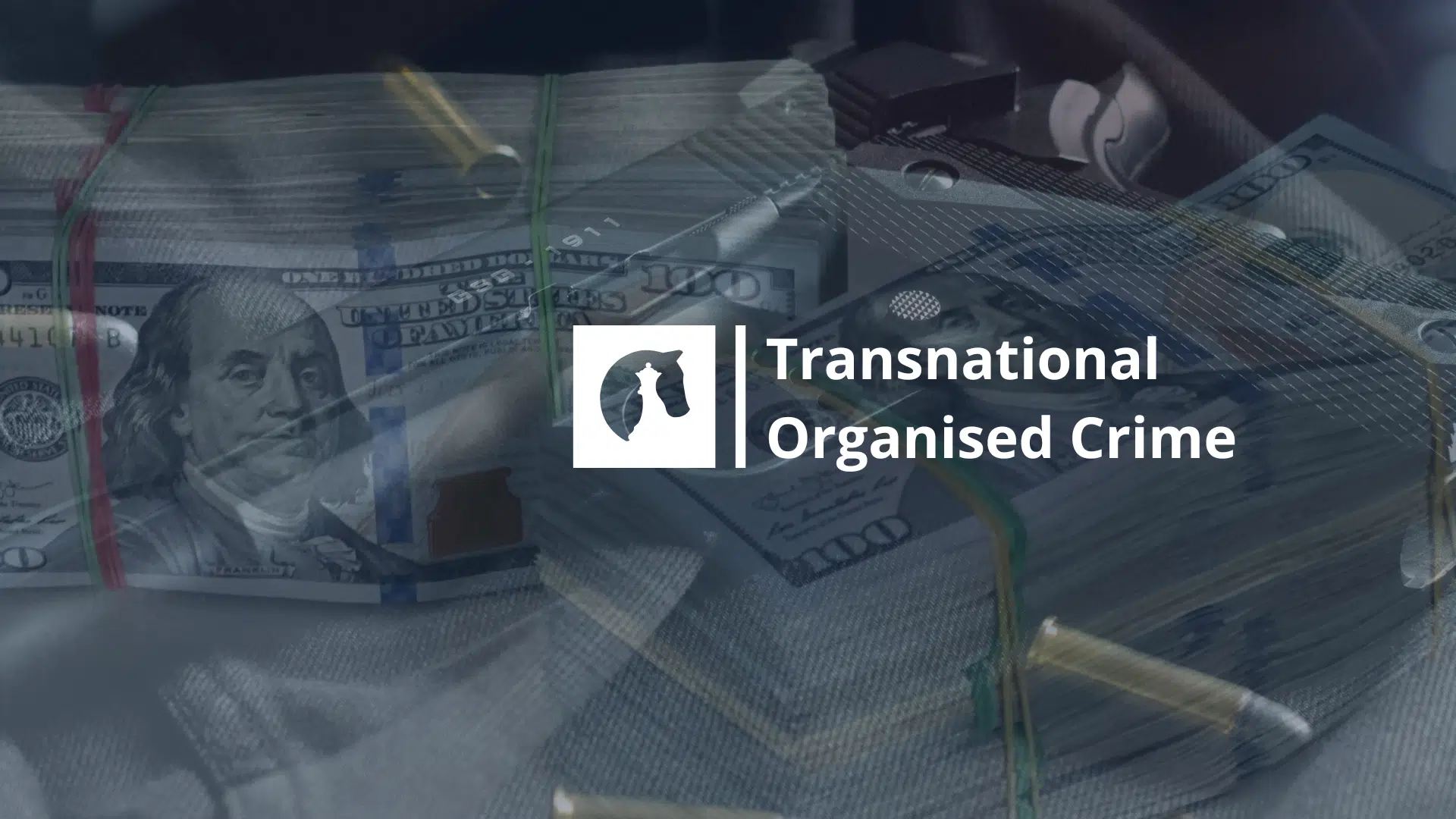 landing page Transnational Organised Crime