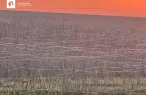 web - Lessons That Transfer Observations from the Russo-Ukraine War for European Land Forces