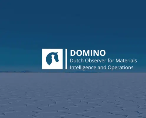 DOMINO